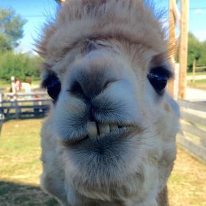 Meet your Posher, Danell